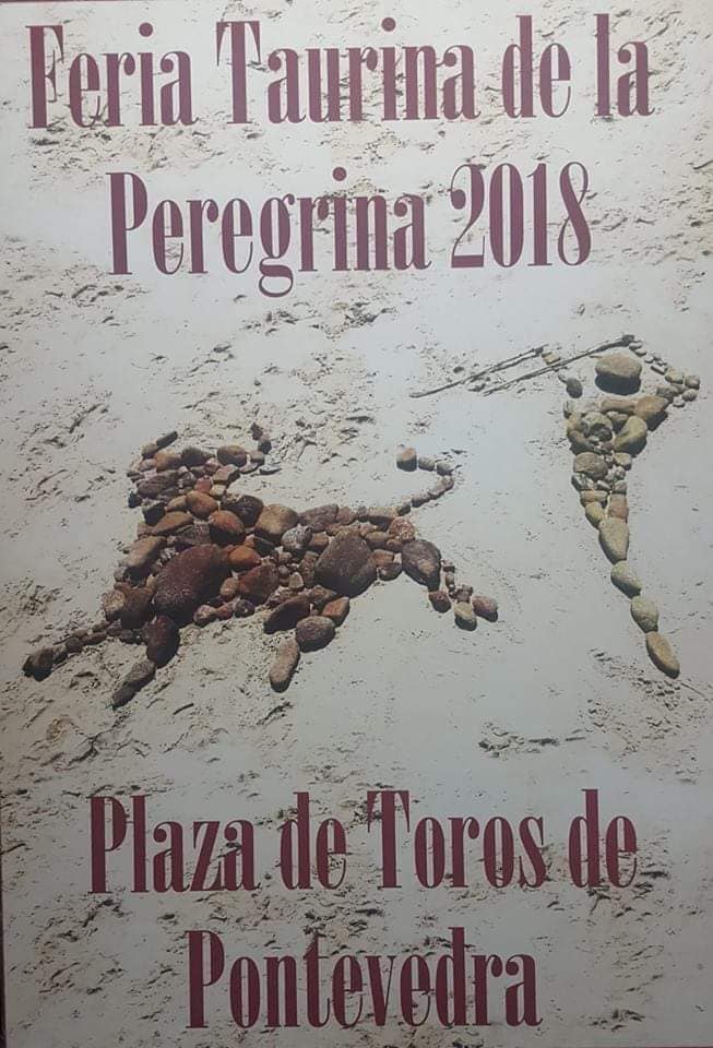 V Concurso cartel Peregrina 2019